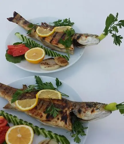 Hotel Rilican Best - View Hotel 3*