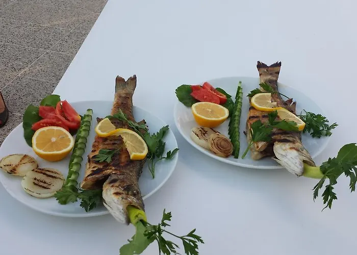 Rilican Best - View Hotel Hotel 3*