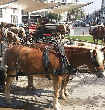 睿里坎最佳景酒店 酒店 塞尔丘克