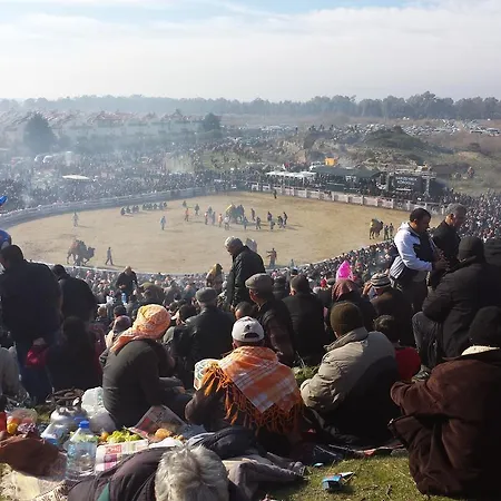 酒店 睿里坎最佳景酒店 塞尔丘克