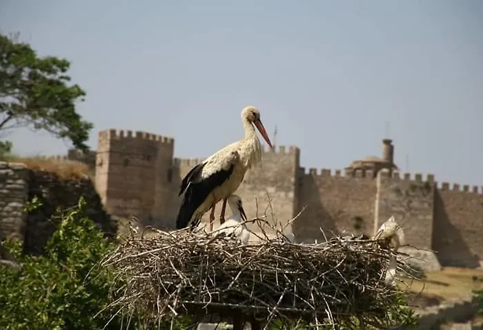 Rilican Best - View Hotel מלון 3*