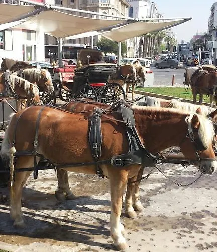 Rilican Best - View Hotel מלון סלצ'וק